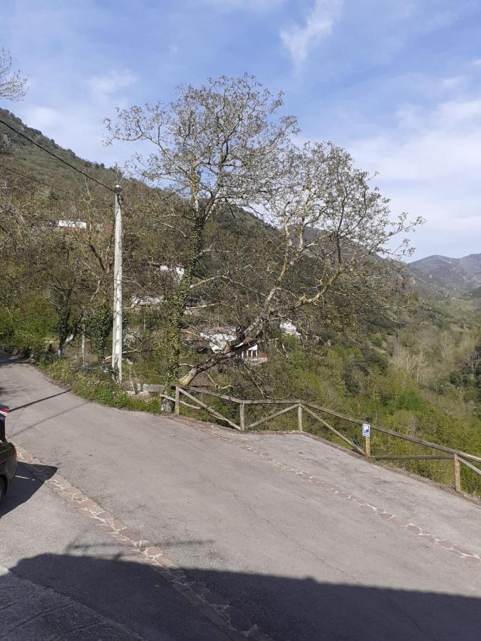 Aparatamento Rural El Oso 3 Pola de Somiedo Exterior foto